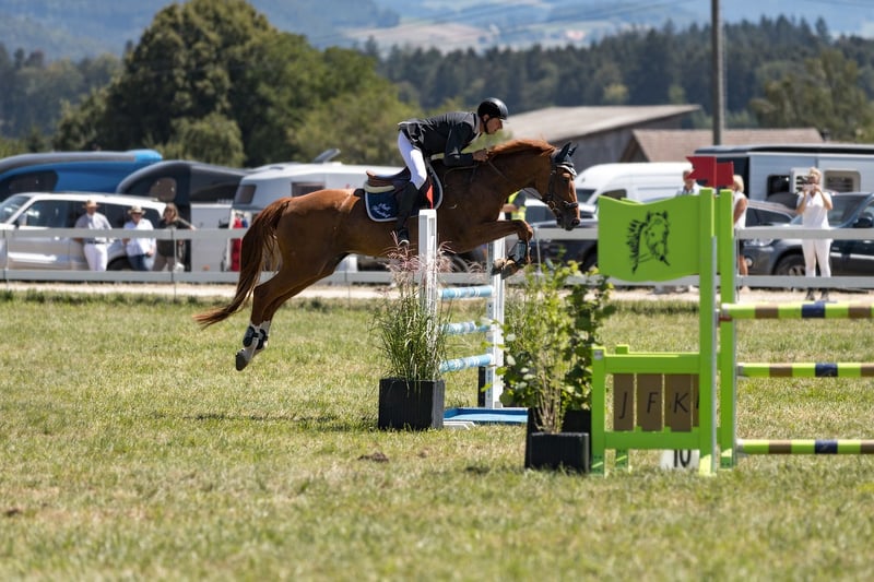 Overcoming Obstacles