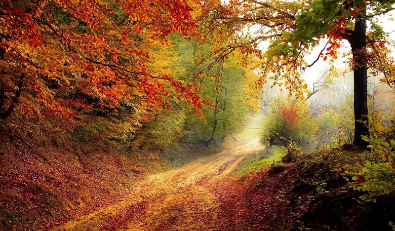 Motivational Road